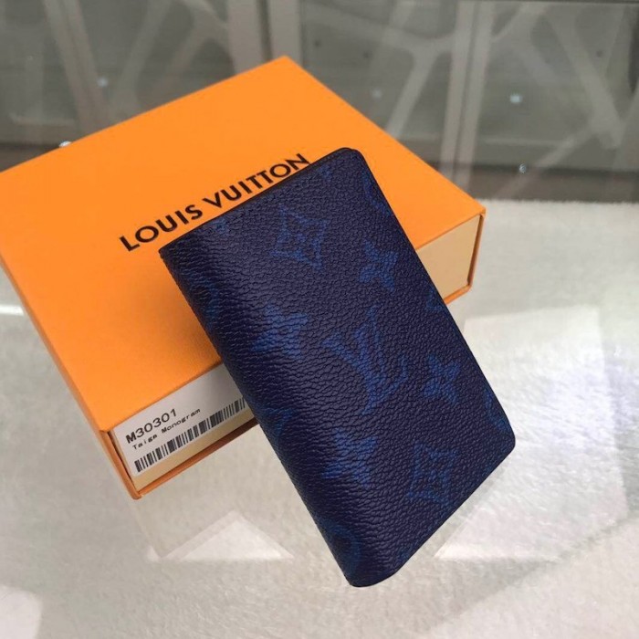 Replica Louis Vuitton Pocket Organizer Taiga Leather M30293 Fake